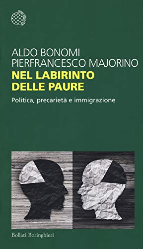 Nel labirinto delle paure. Politica, precarietà e immigrazione - copertina