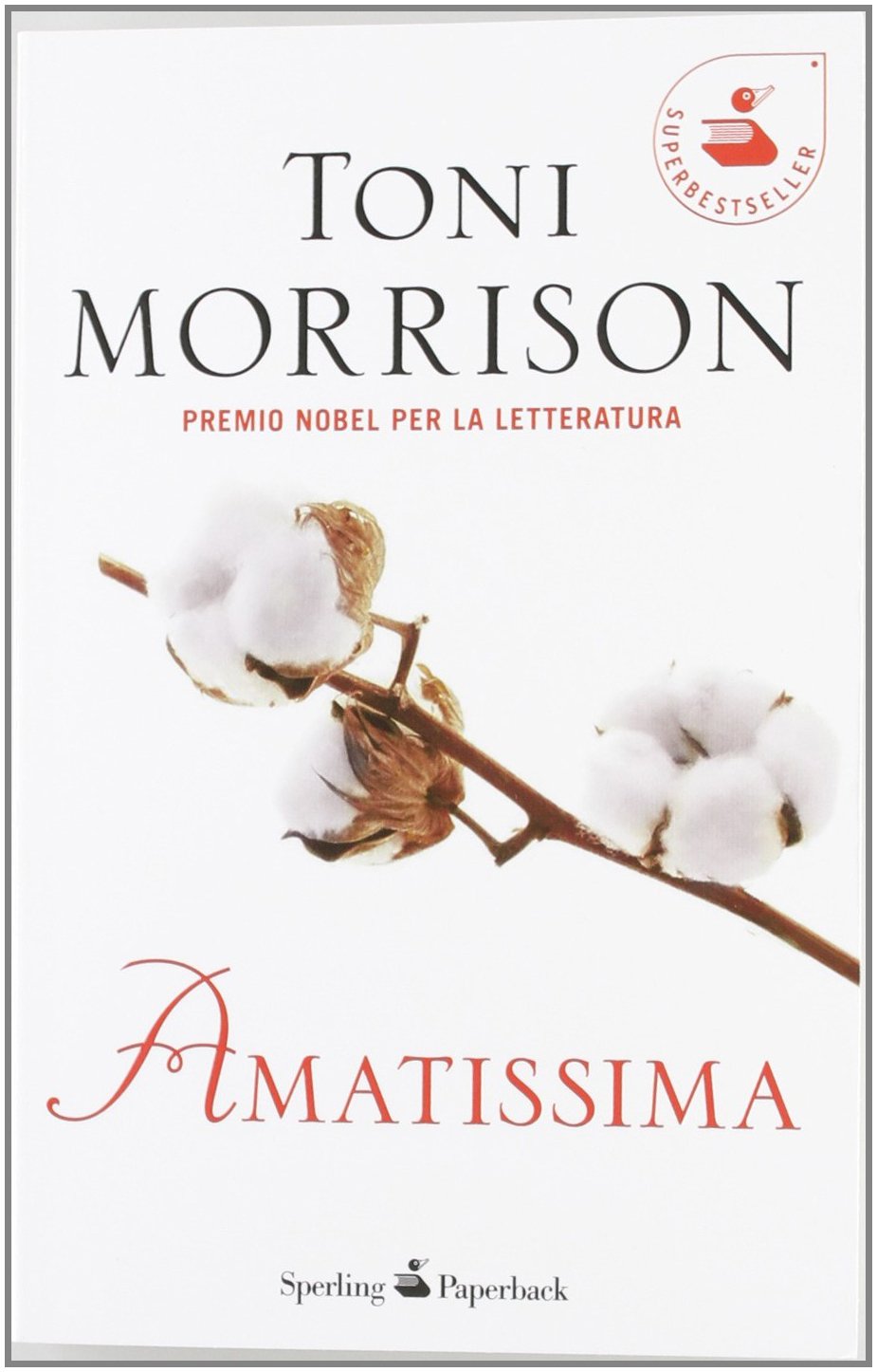 Amatissima - copertina