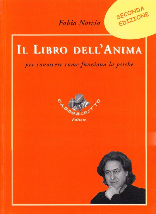Il libro dell'anima. Per conoscere come funziona la psiche - copertina