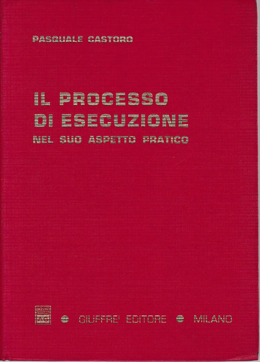 Il processo di esecuzione nel suo aspetto pratico - copertina
