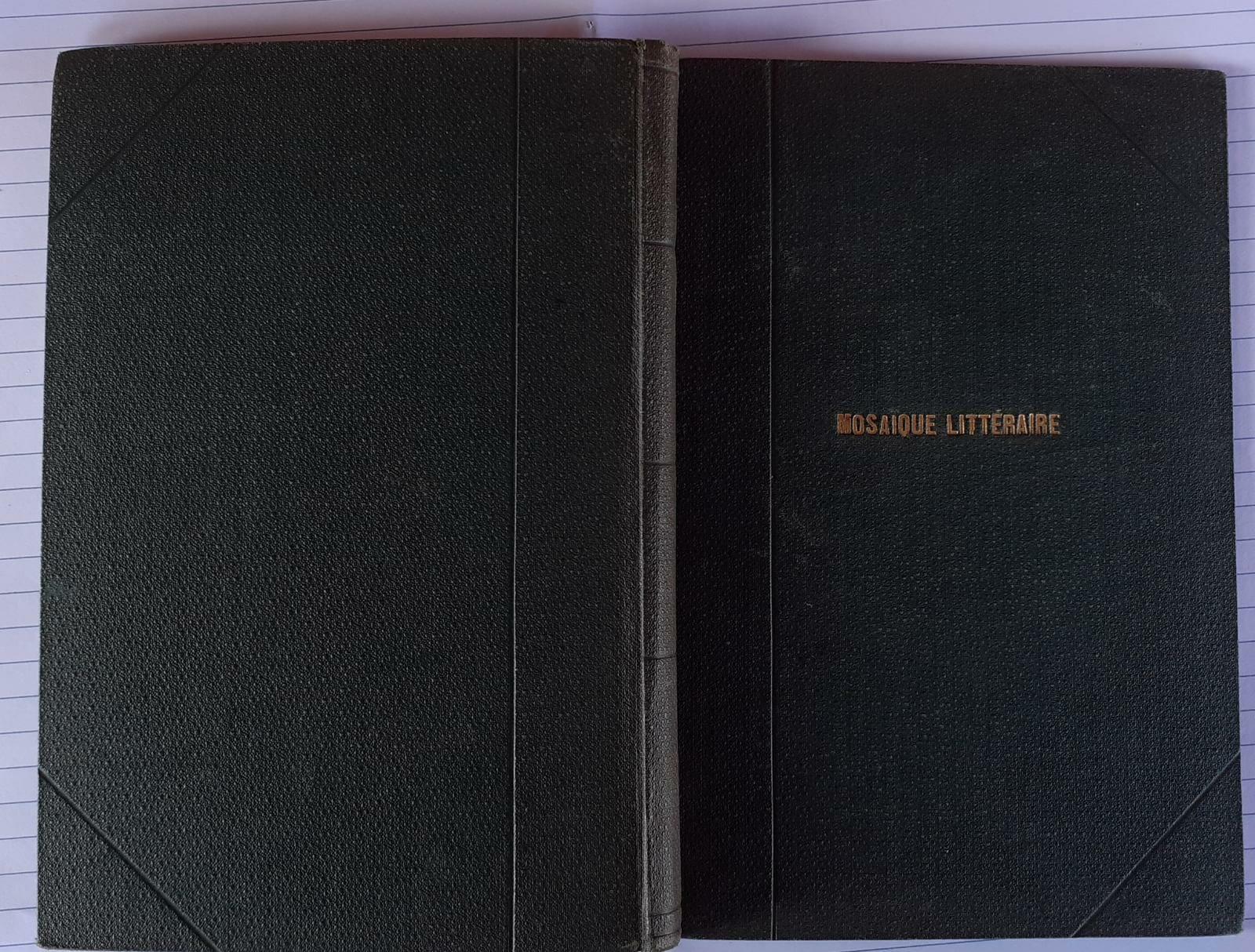 Mosaique Litteraire livre de lecture - copertina