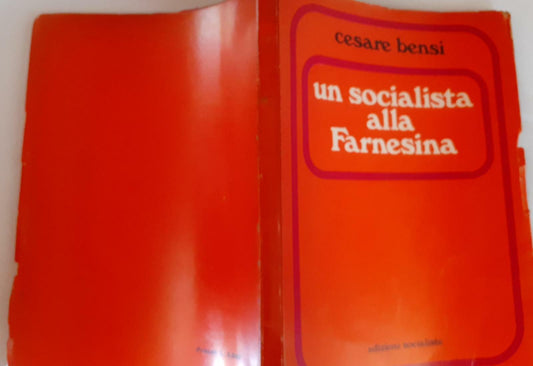 Un socialista alla Farnesina - copertina