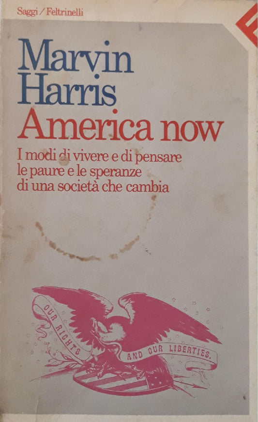 America now. I modi di vivere e di pensare, le paure e le speranze di una società che cambia - copertina