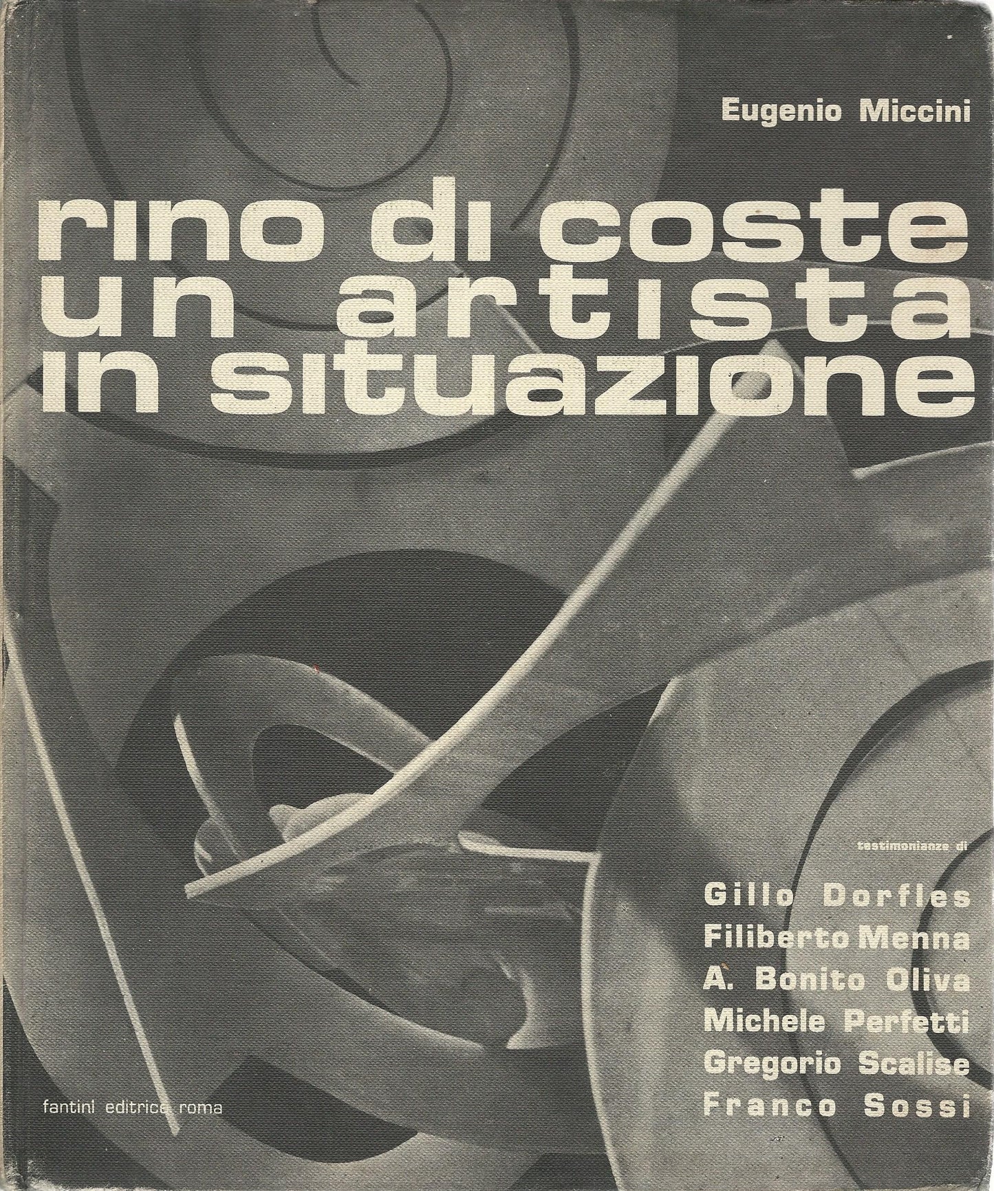 Rino Di Coste un artista in situazione - copertina