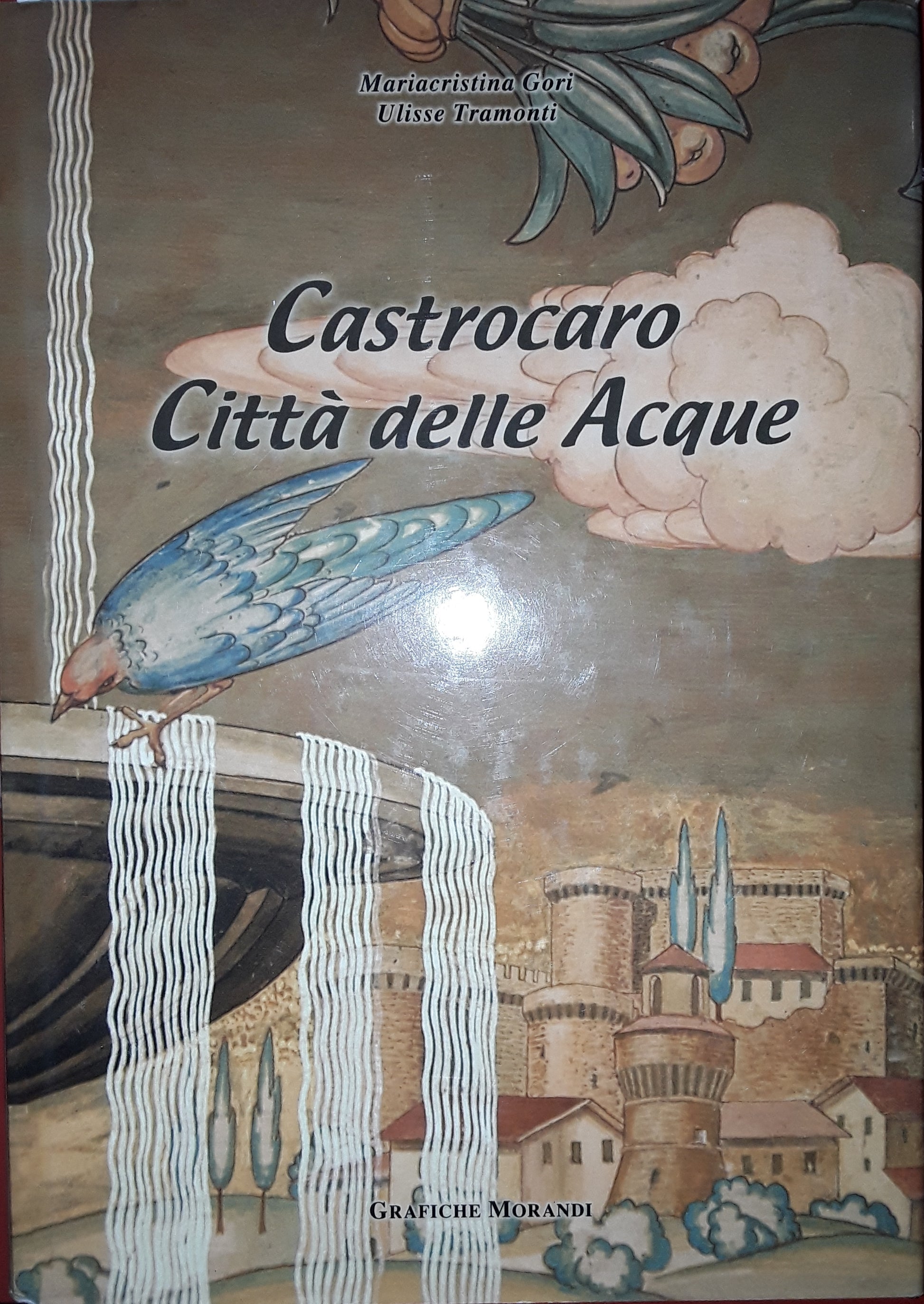 Castrocaro. Città delle acque - copertina