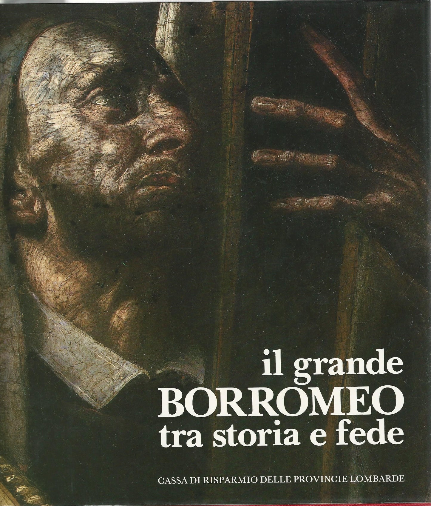 Il grande Borromeo tra storia e fede - copertina