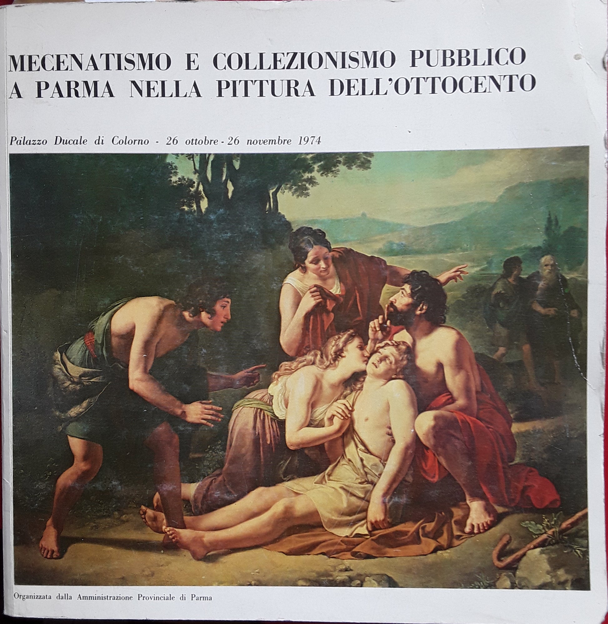 Mecenatismo e collezionismo pubblico a Parma nella pittura dell'Ottocento - copertina