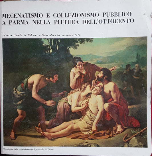 Mecenatismo e collezionismo pubblico a Parma nella pittura dell'Ottocento - copertina