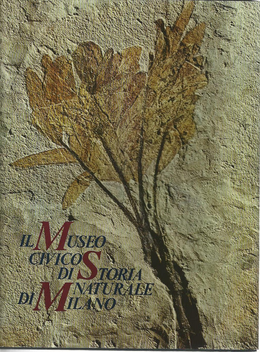 Il museo civico di storia naturale di Milano - copertina