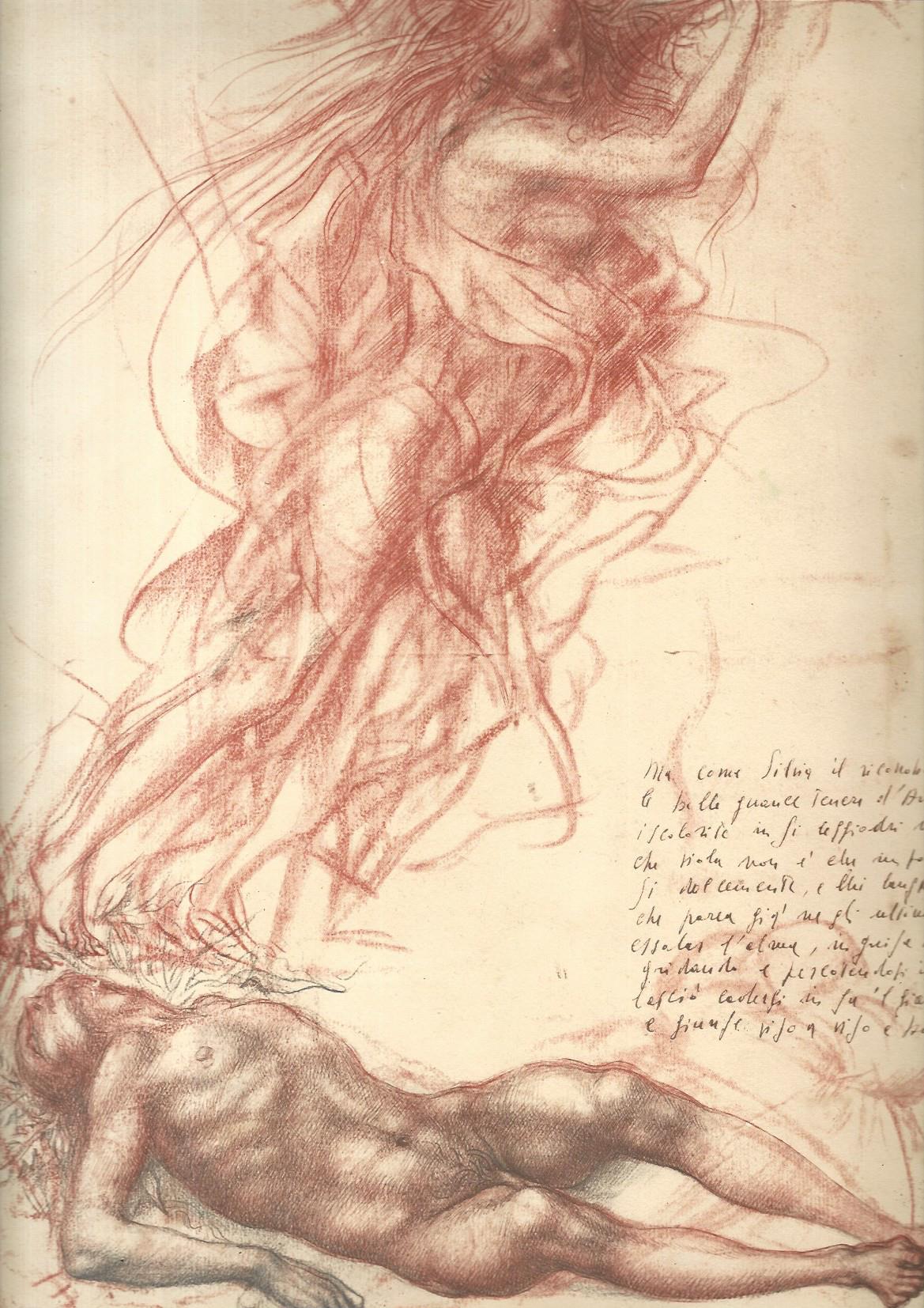 Aminta - copertina