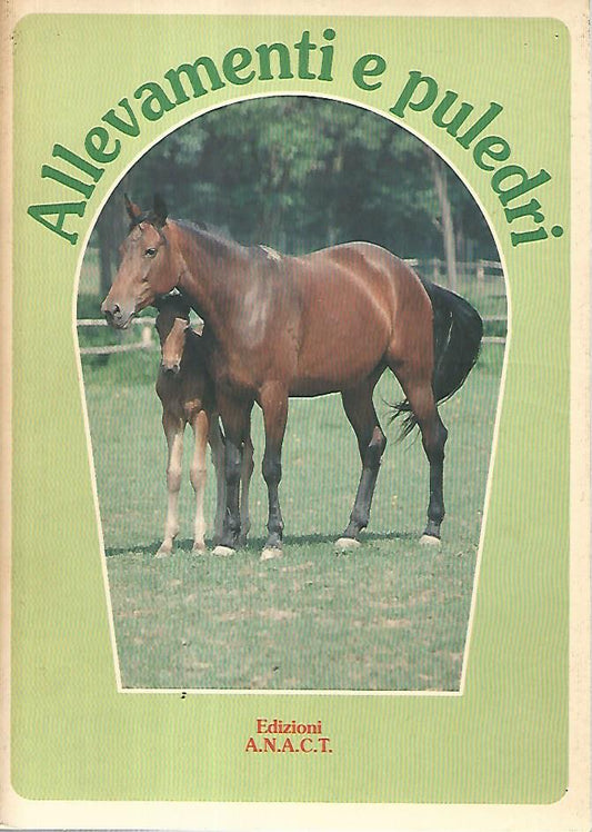 Allevamenti e puledri - copertina