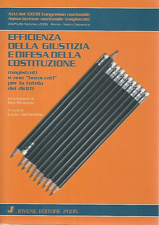 Efficienza della giustizia e difesa della costituzione - copertina