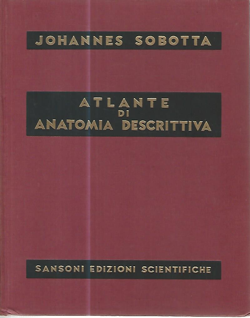 Atlante di anatomia descrittiva II - copertina