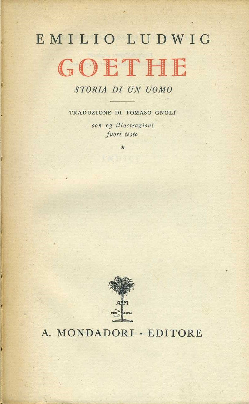 Goethe storia di un uomo - copertina
