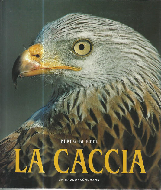 La caccia - copertina