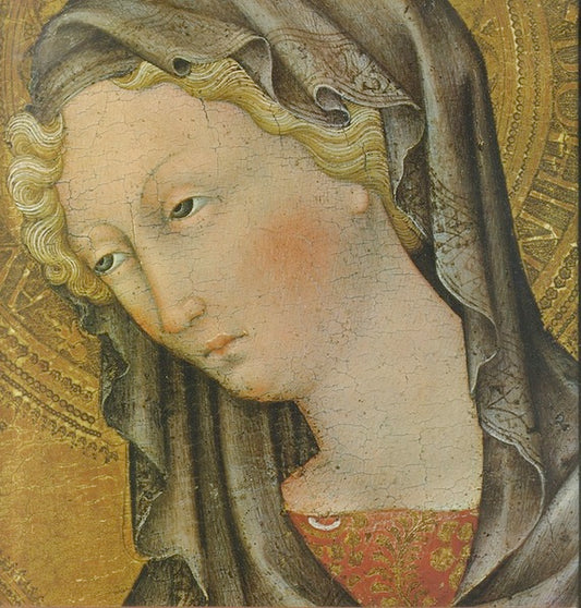 I pittori senesi - copertina