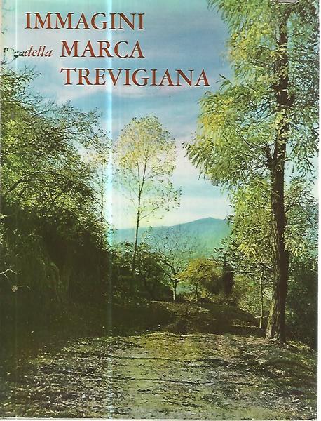 Bellezze della Marca trevigiana - copertina