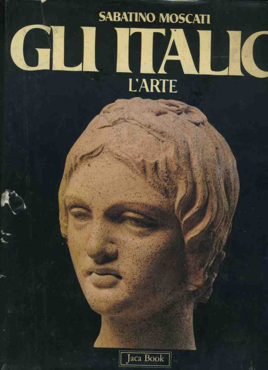 Gli italici. L'arte - copertina