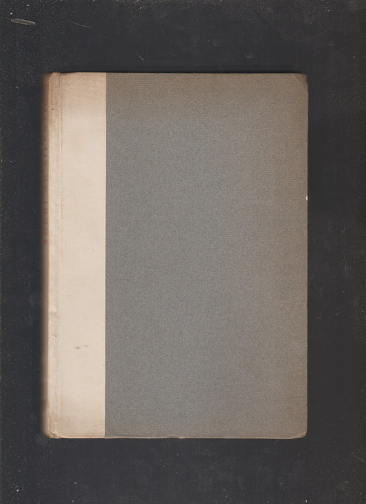 Amori ac silentio e Le rime sparse - copertina
