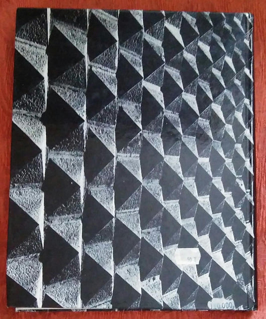 E IN ITALIA VANNE - copertina