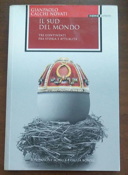 Il sud del mondo. Tre continenti fra storia e attualità - copertina