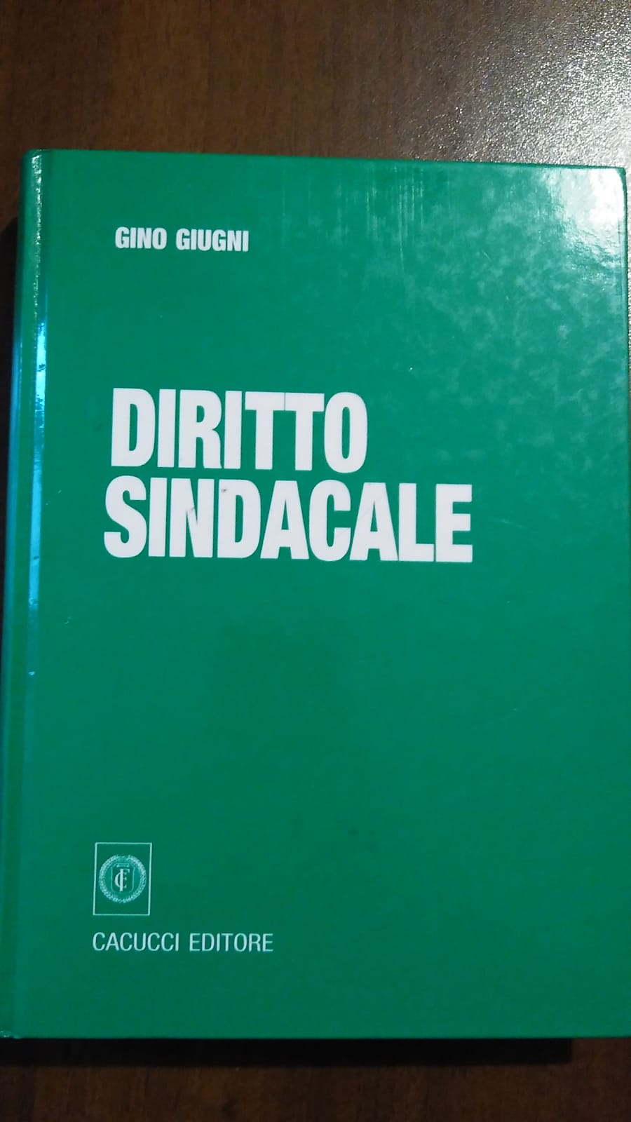 DIRITTO SINDACALE - copertina