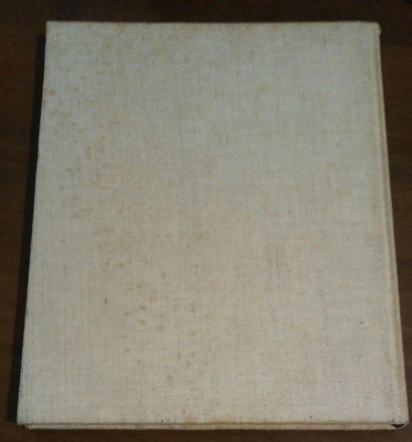 IL MOBILE REGIONALE ITALIANO - copertina