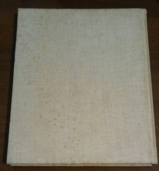 IL MOBILE REGIONALE ITALIANO - copertina