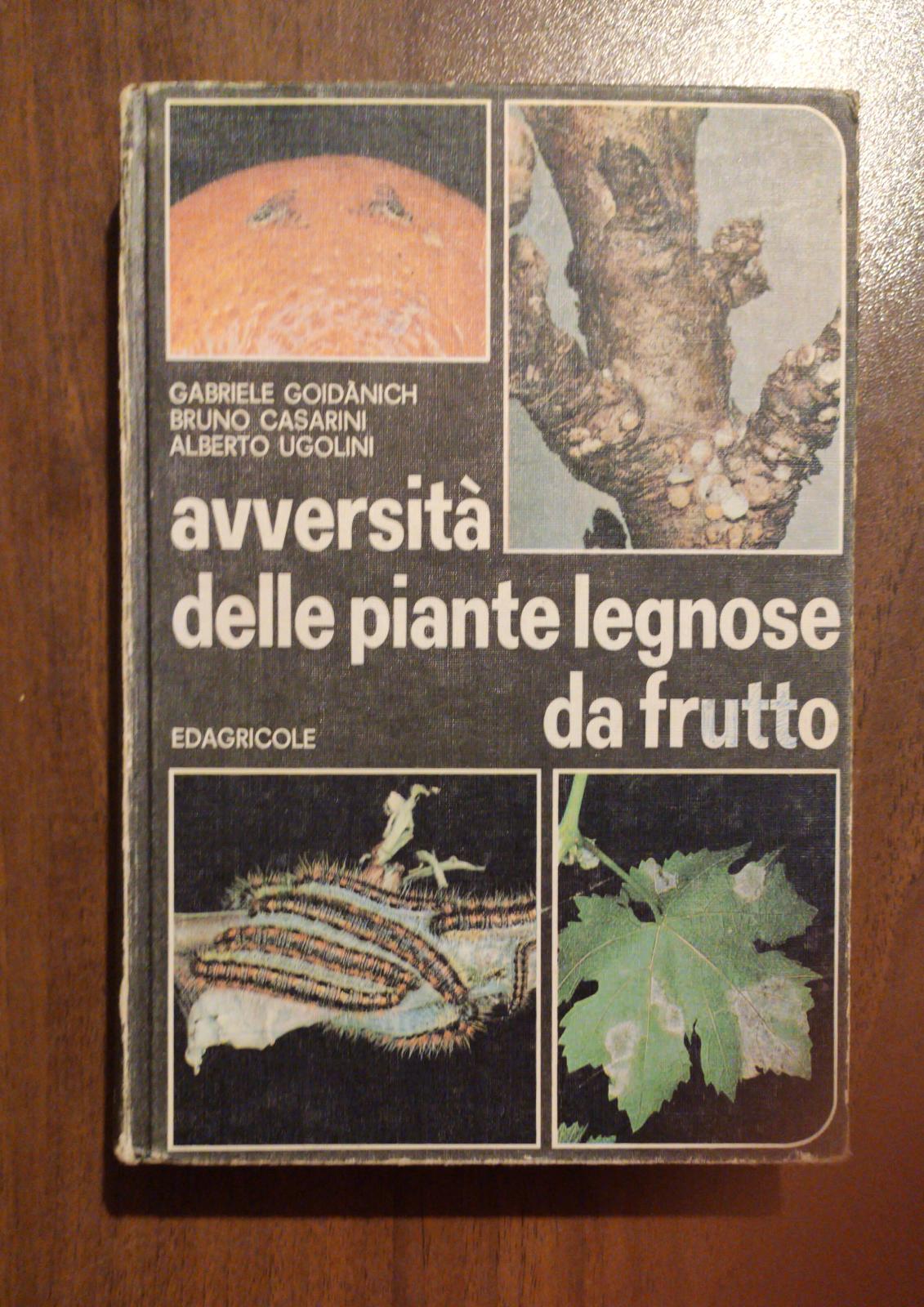 LE AVVERSITA' DELLE PIANTE LEGNOSE DA FRUTTO Pomacee, Drupacee, Vite, Olivo, Agrumi - copertina