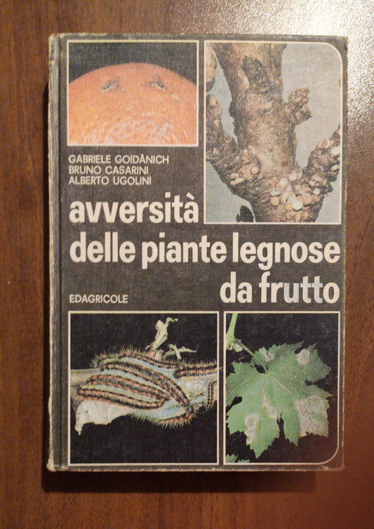 LE AVVERSITA' DELLE PIANTE LEGNOSE DA FRUTTO Pomacee, Drupacee, Vite, Olivo, Agrumi - copertina