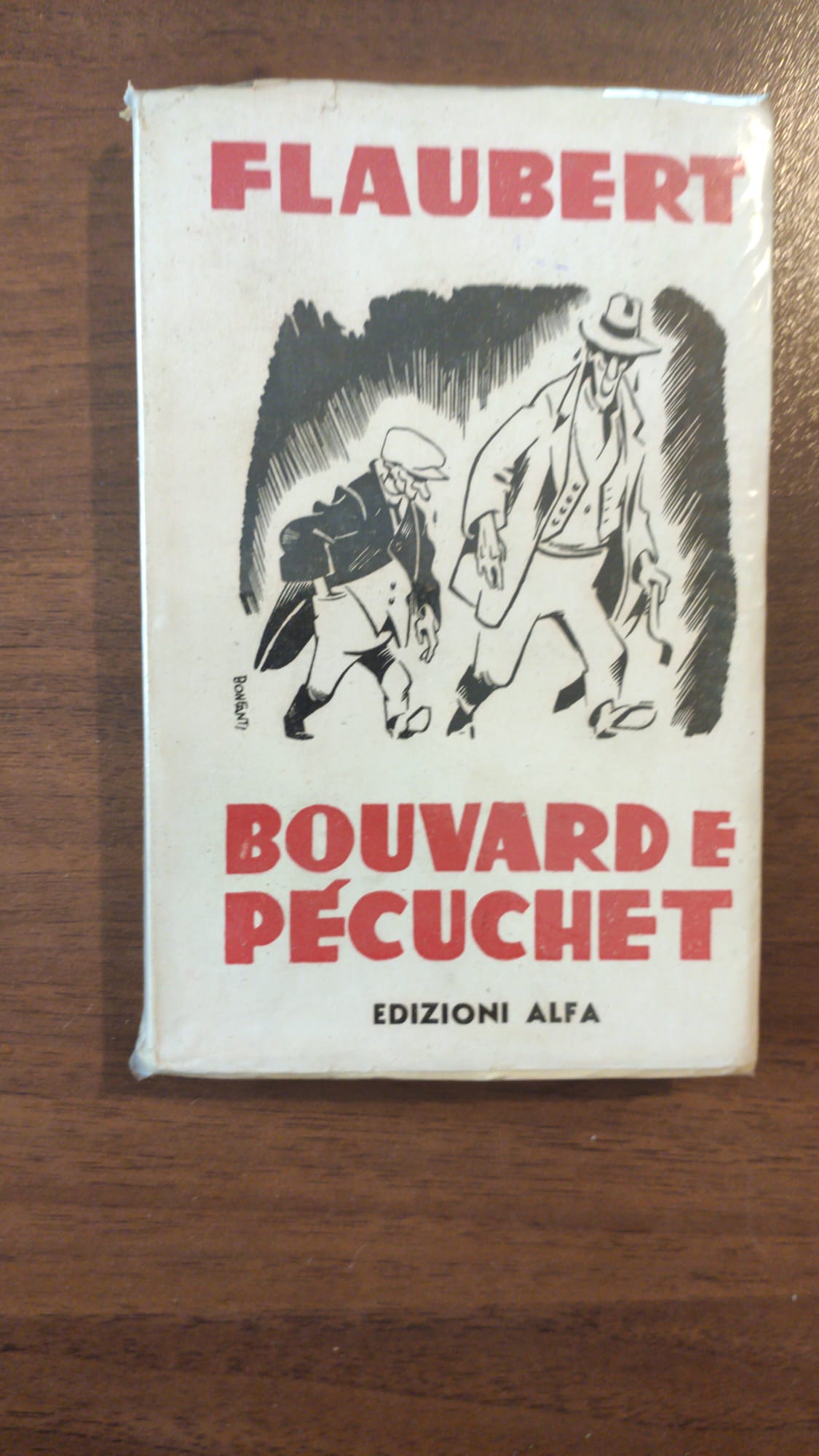 Bouvard e Pecuchet - copertina