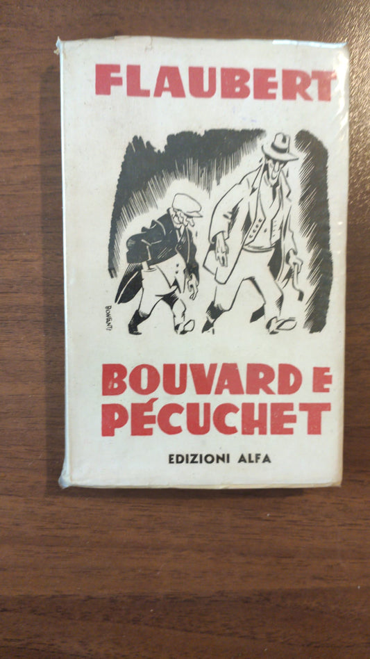 Bouvard e Pecuchet - copertina
