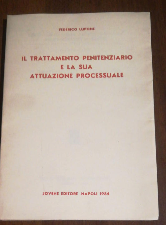 IL TRATTAMENTO PENITENZIARIO E LA SUA ATTUAZIONE PROCESSUALE - copertina