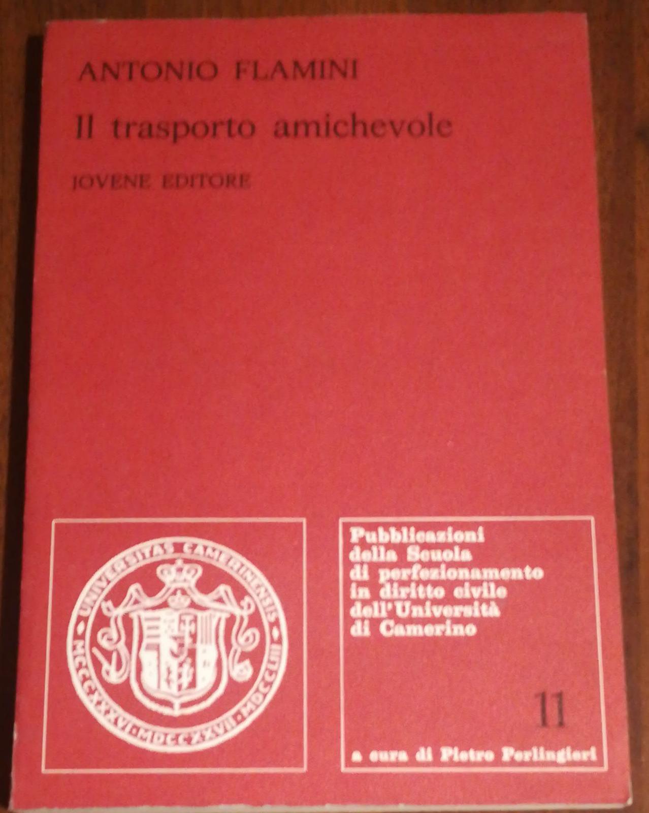 IL TRASPORTO AMICHEVOLE - copertina