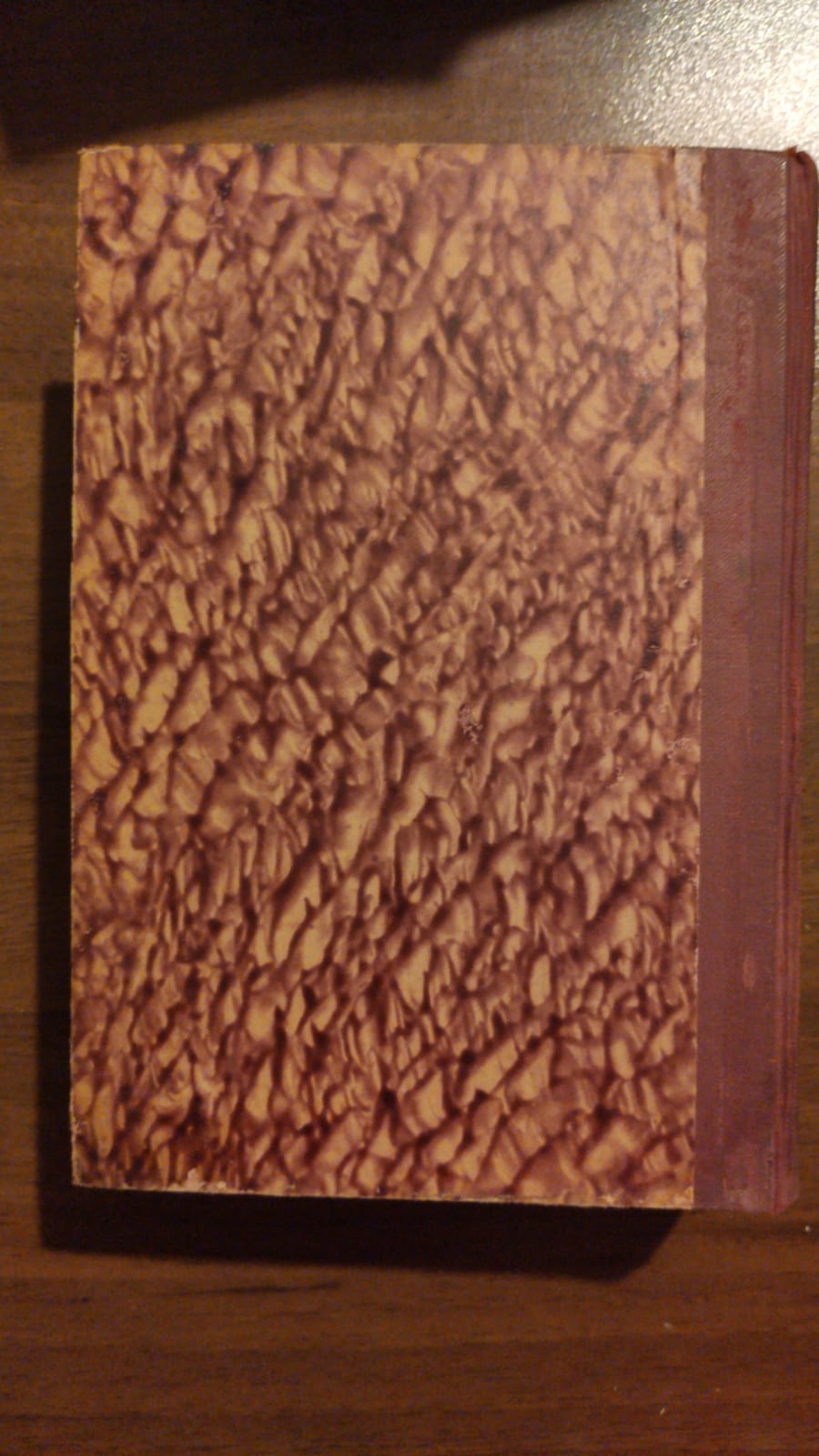 ANALISI TEORICA DELLE ORGANO-STRUTTURE - copertina