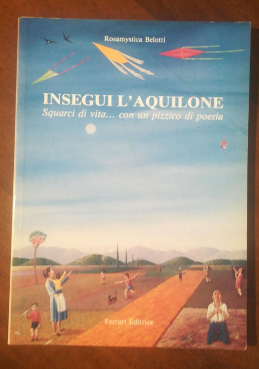 Insegui l'aquilone - copertina