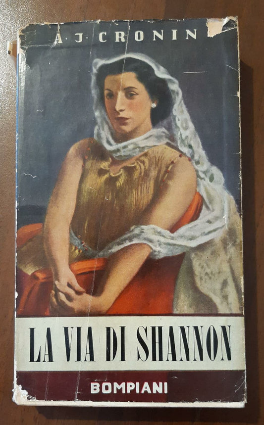 La via di Shannon - copertina