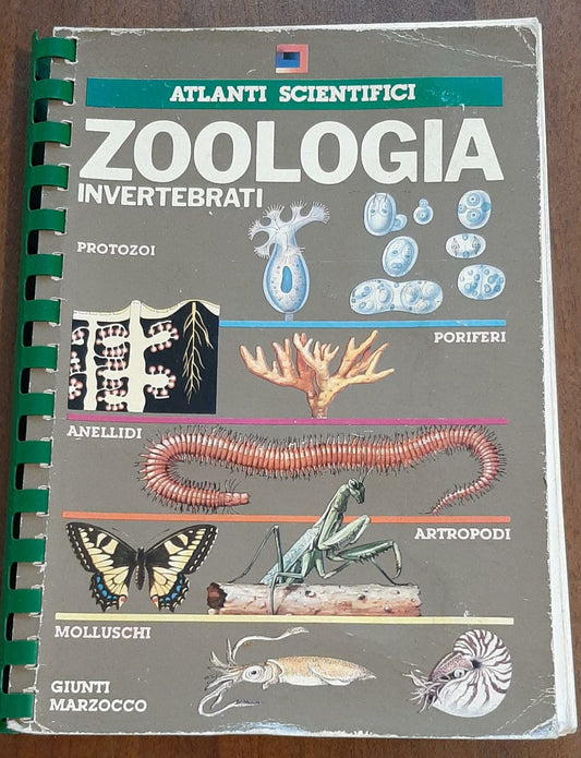 Atlanti scientifici Zoologia Invertebrati - copertina