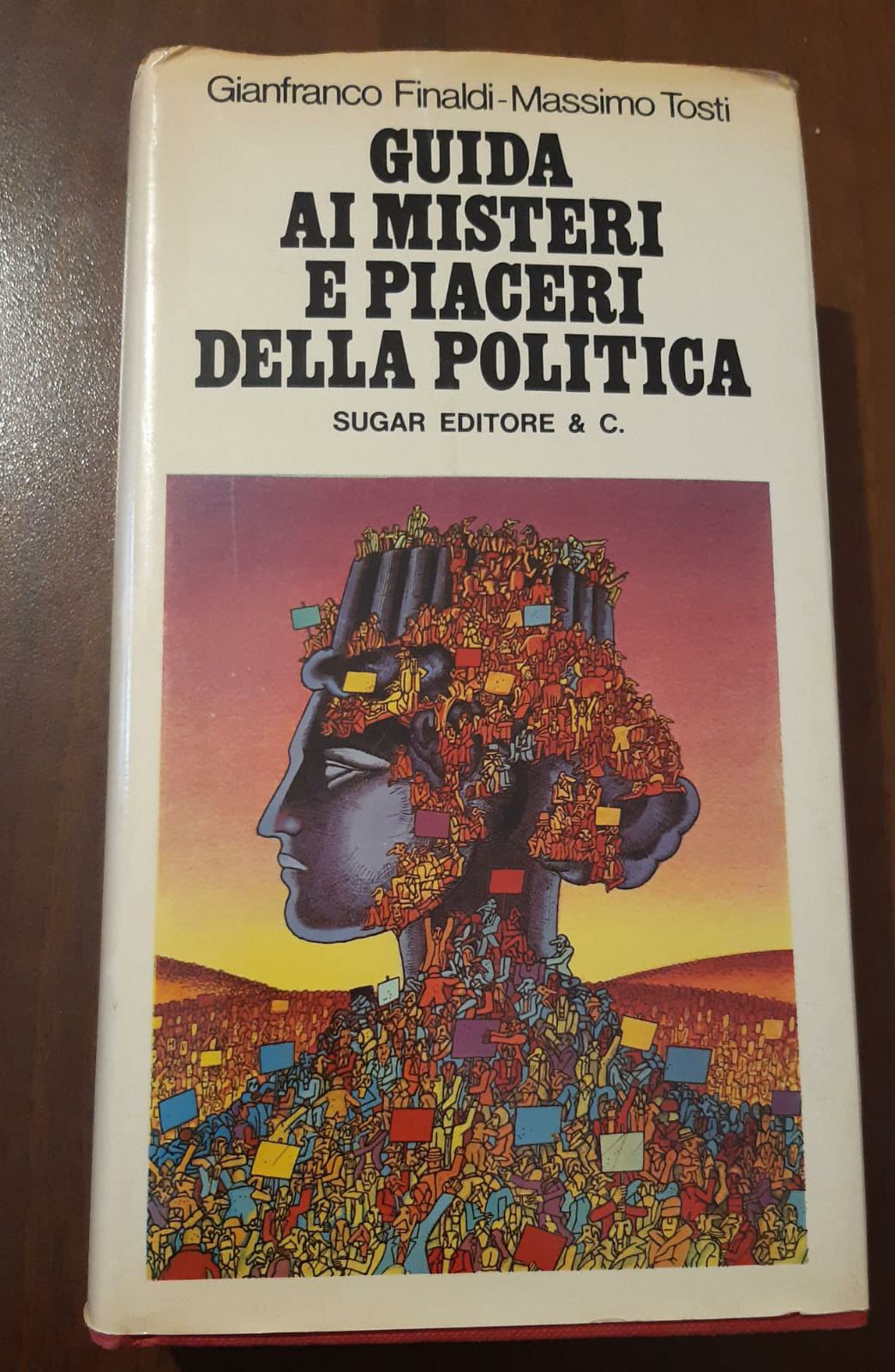 Guida ai misteri e piaceri della politica - copertina