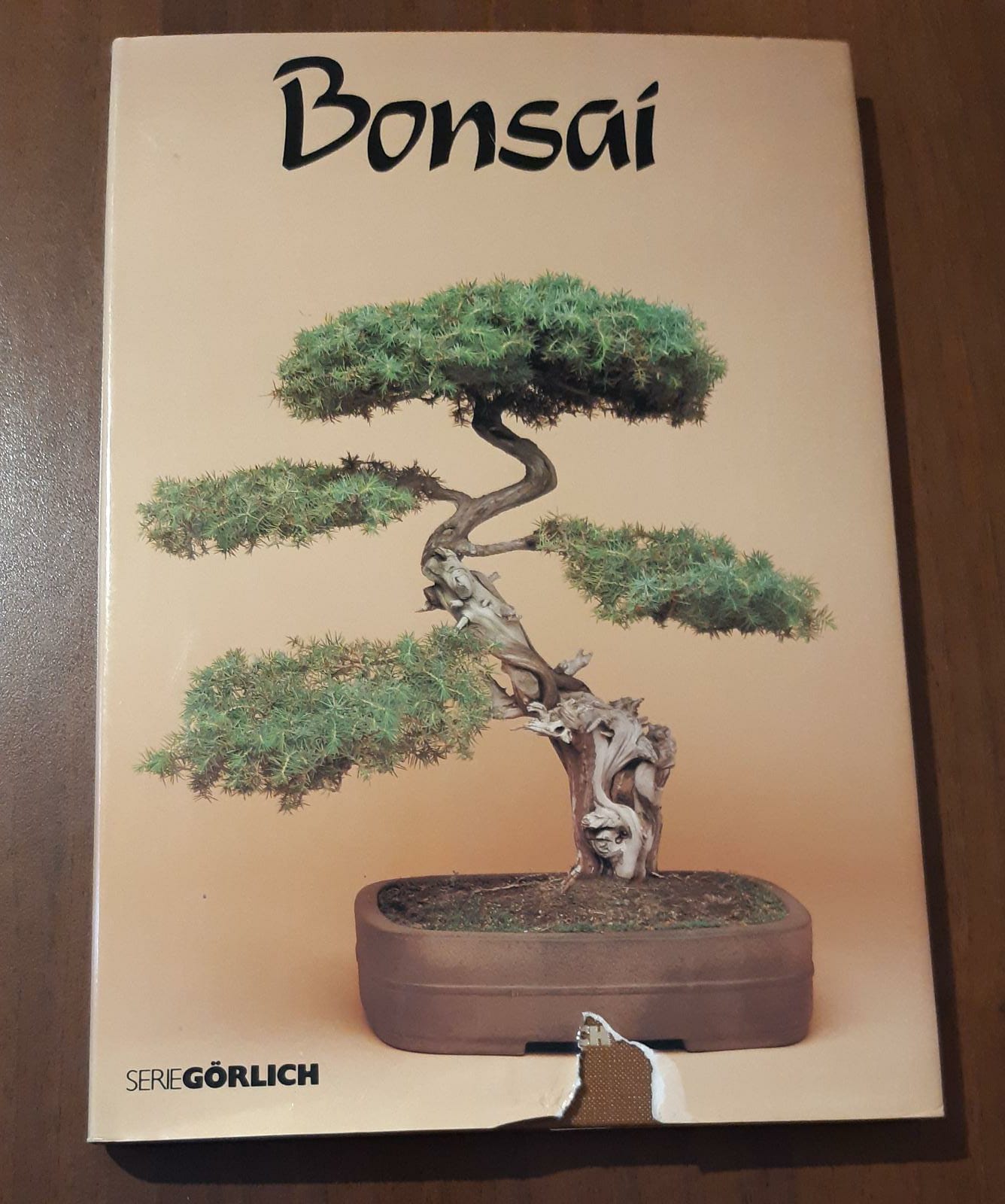 Bonsai - copertina