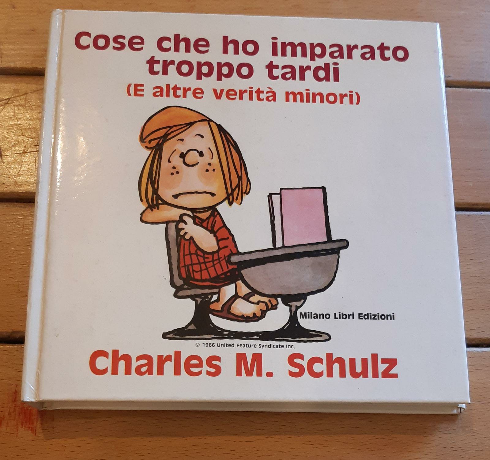 Cose che ho imparato troppo tardi e altre verità minori - copertina