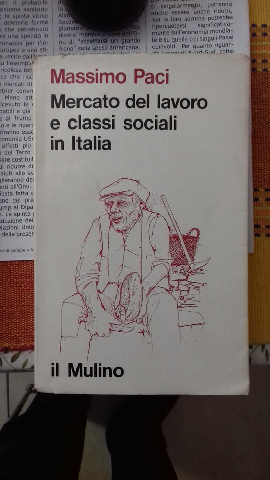Mercato del lavoro e classi sociali in Italia - copertina