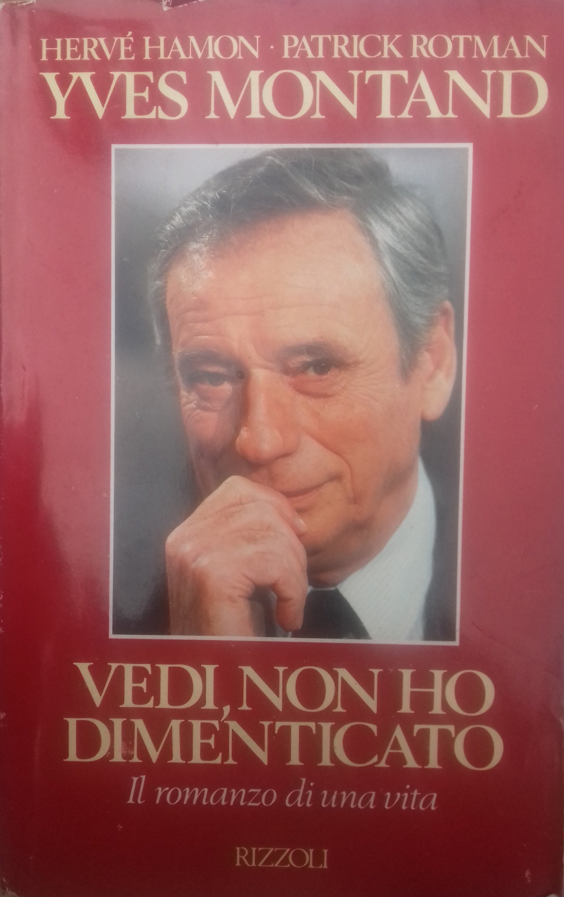 Vedi, non ho dimenticato. Il romanzo di una vita - copertina