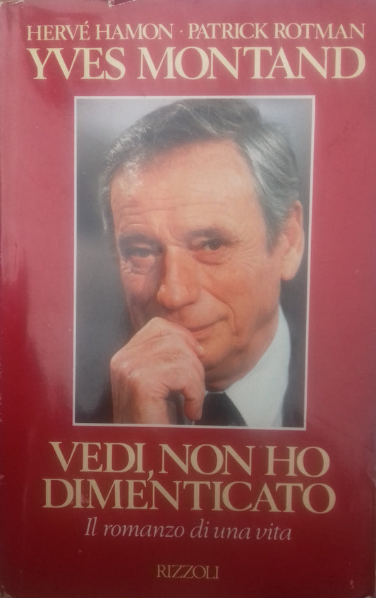 Vedi, non ho dimenticato. Il romanzo di una vita - copertina