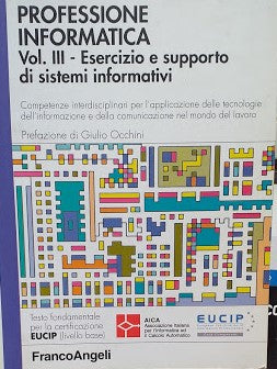 Professione informatica. Vol. III: competenze interdisciplinari per l'applicazione delle tecnologie dell'informazione e della comunicazione nel mondo del lavoro - copertina
