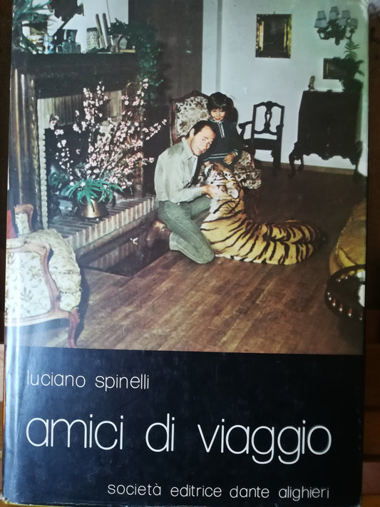 Amici di viaggio - copertina