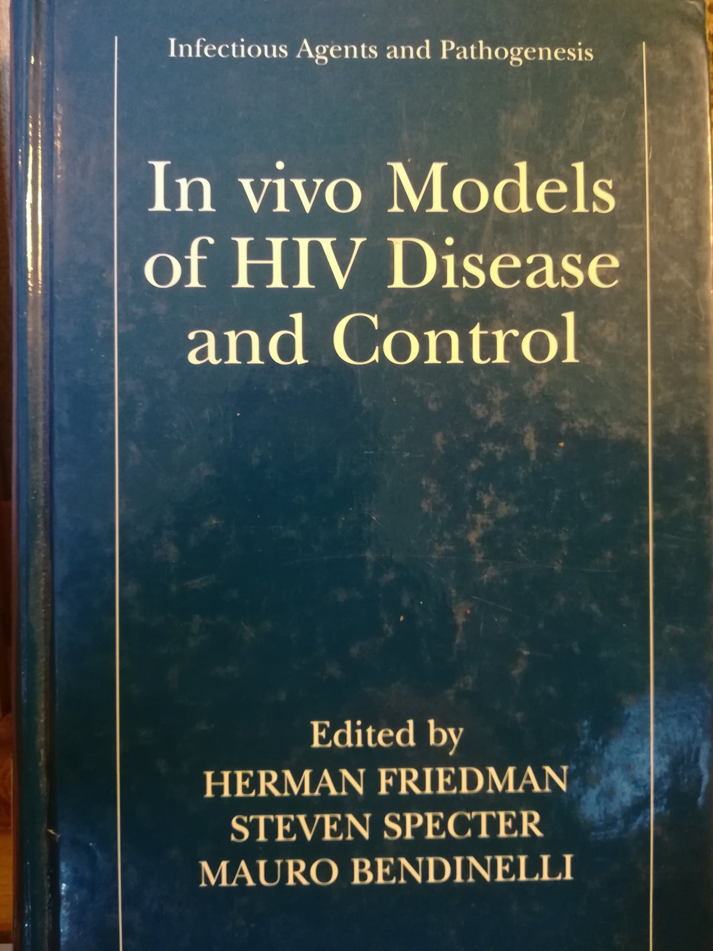 In vivo Models of HIV Disease and Control. - copertina