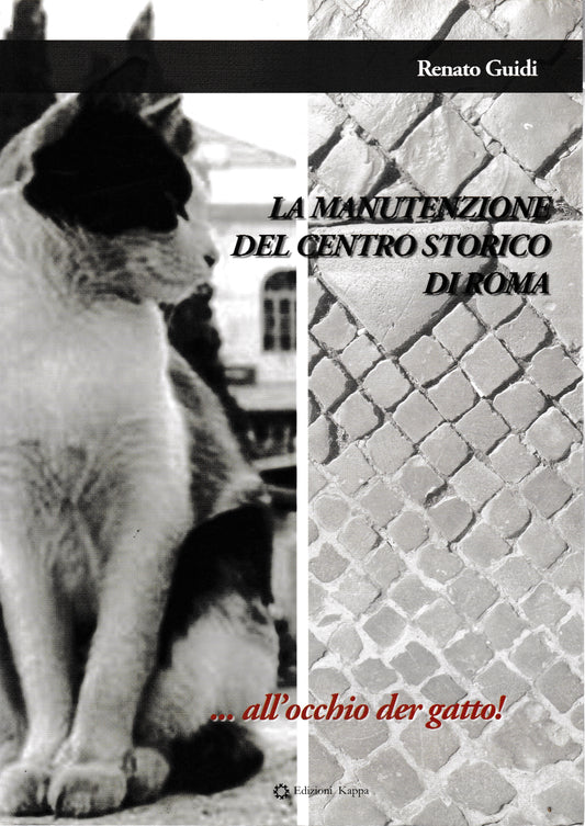 La manutenzione del centro storico di Roma - copertina