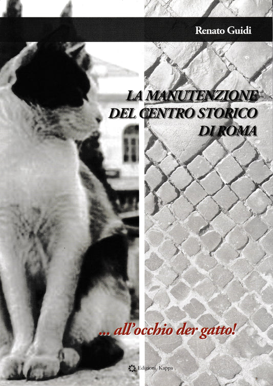 La manutenzione del centro storico di Roma..all'occhio der gatto! - copertina