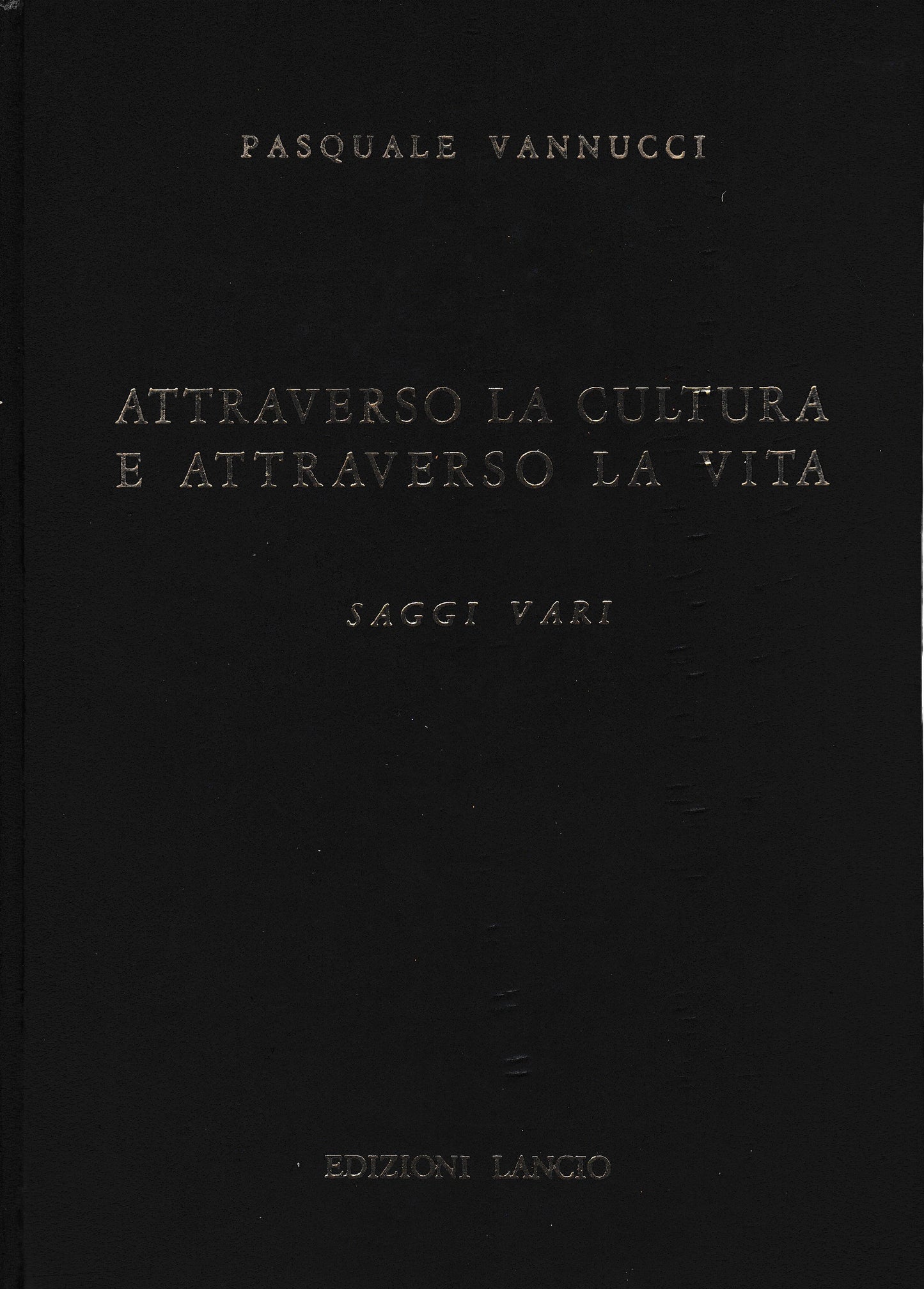 Attraverso la cultura e attraverso la vita - copertina